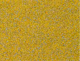 Problemy z tynkiem
